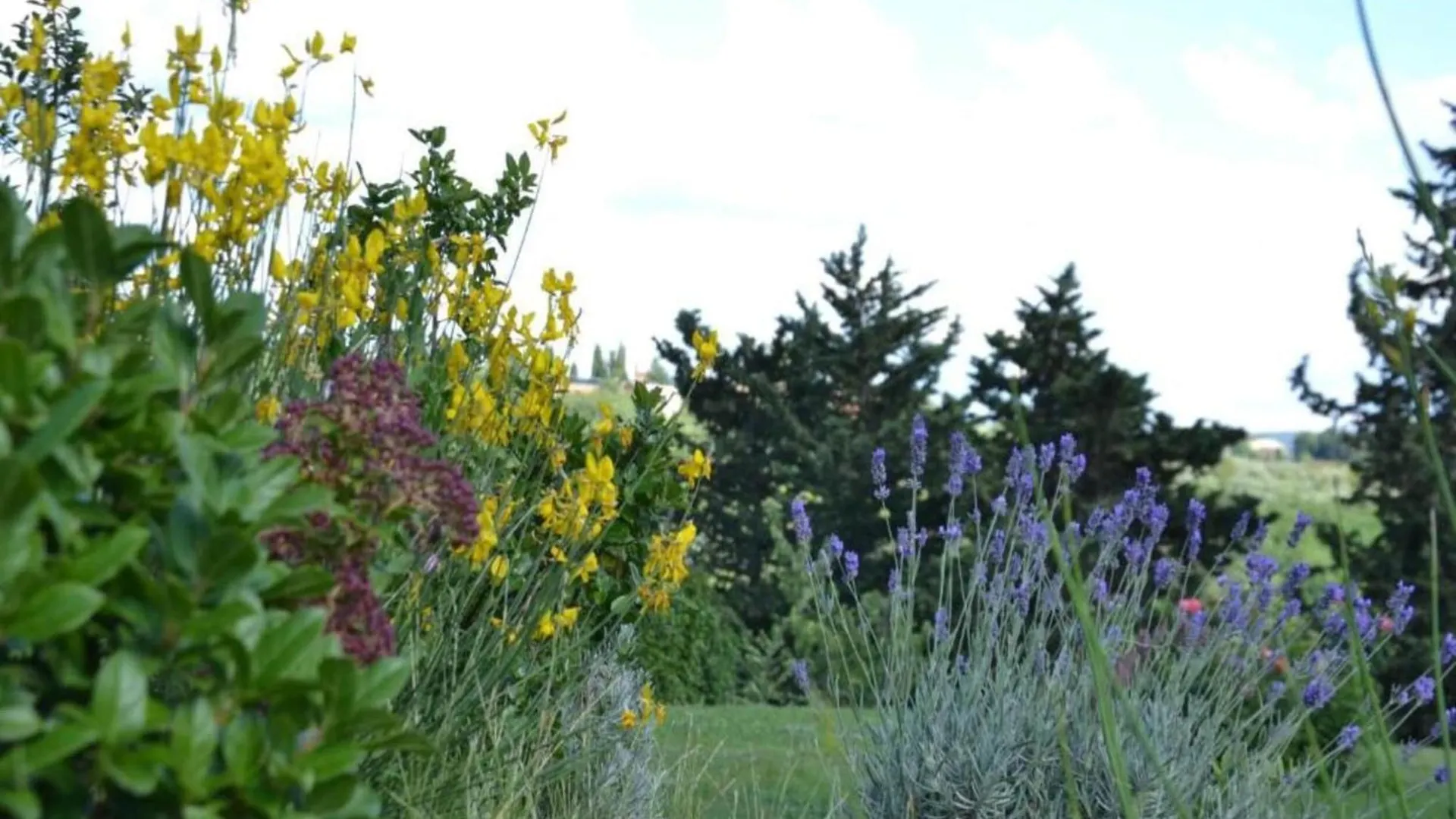 Splendid Holiday Home In Rignano Sull Arno Fi With Garden San Cristoforo a Perticaia