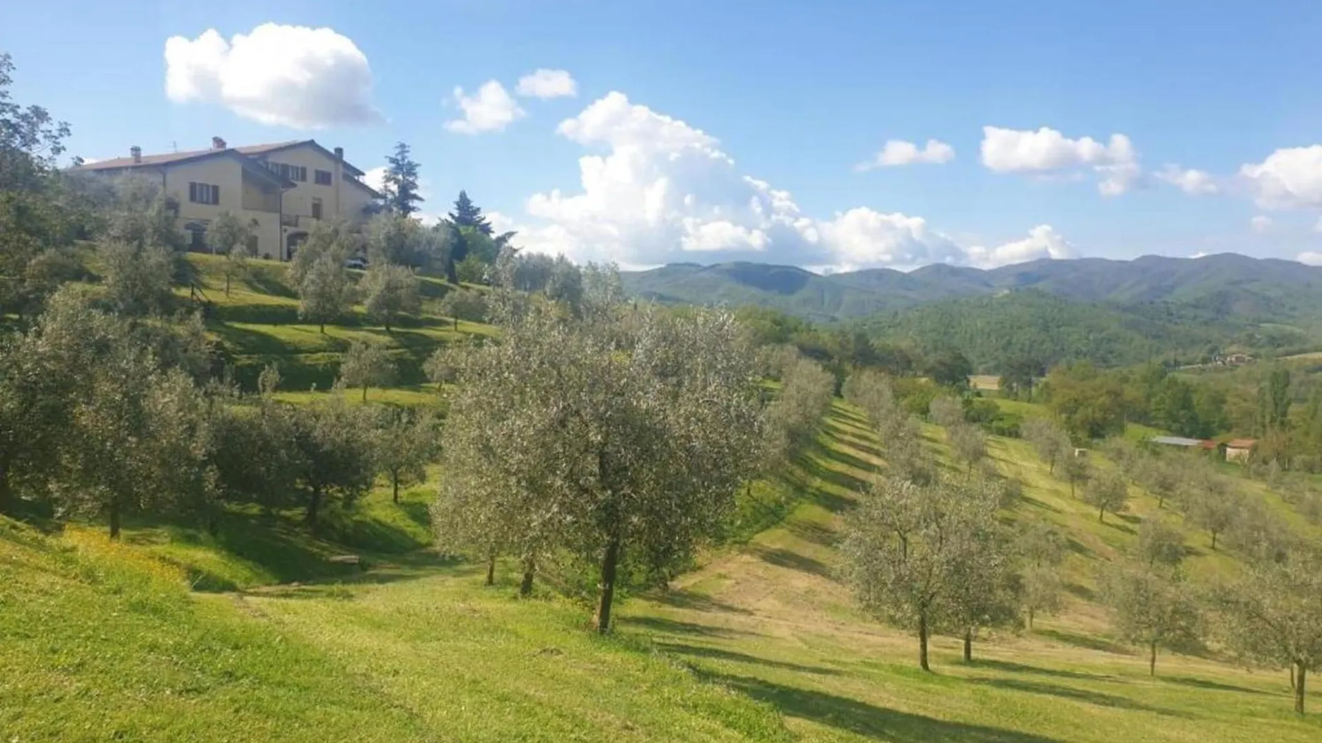 Splendid Holiday Home In Rignano Sull Arno Fi With Garden San Cristoforo a Perticaia